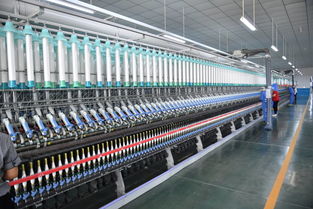 這么努力的固原,快來(lái)重新認(rèn)識(shí)一下 寧夏黨委常委集體調(diào)研固原市