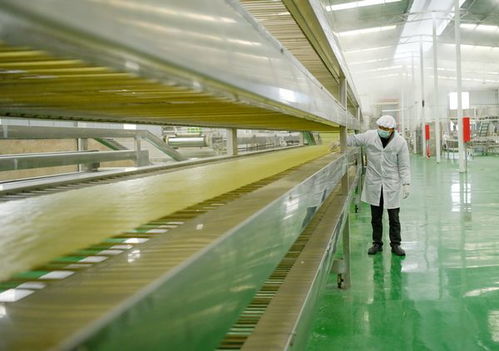 貴州岑鞏 電力有保障 特色食品加工忙