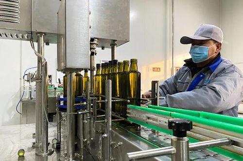 龍江振興這五年丨林下掘金生態富民