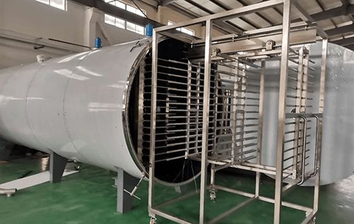 食品凍干機應用于即溶果蔬沙拉凍干加工