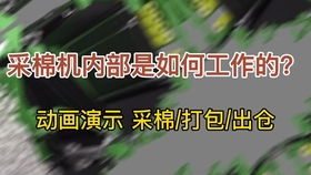 棉花在紡紗廠如何加工處理成細絲