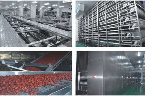 工業(yè)微波干燥設(shè)備的設(shè)計(jì)原則