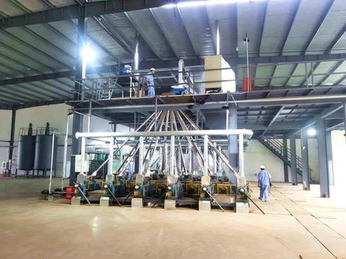 項目建設工作動態