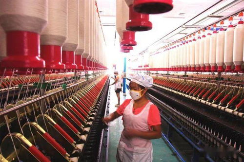 贊 我縣榮獲全省鄉(xiāng)村振興戰(zhàn)略實(shí)績(jī)考核全市唯一優(yōu)秀單位