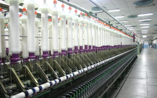 行業(yè)低靡 這家紡企的年利潤(rùn)卻在10年里增長(zhǎng)了305