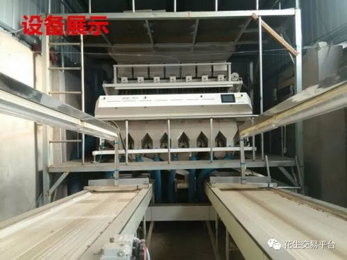 中國花生市場網為您推薦 灤縣通達花生加工廠