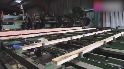 自動(dòng)化木材加工廠,整棵原木進(jìn)去出來就是木板