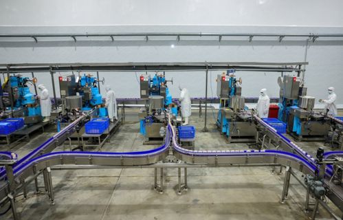 訂單足,市場(chǎng)旺 美寧食品罐頭智能化加工車間忙