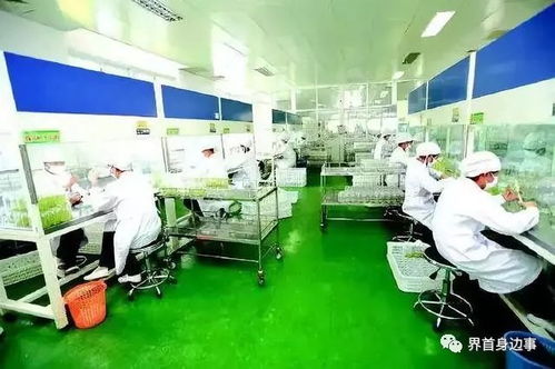 好消息 界首2個鄉鎮入選中央重點名單,將被重點發展