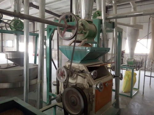 紅河鎮徐塬村 小小磨坊轉出扶貧真情