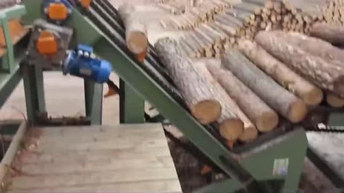 國外木材加工與紡紗業的自動化轉型 工人寥寥，產銷一新