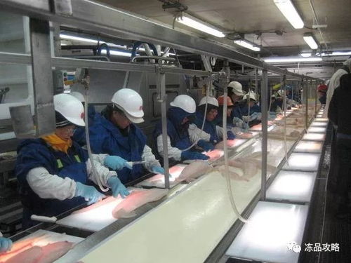 中國水產加工企業如何提升國外市場議價權