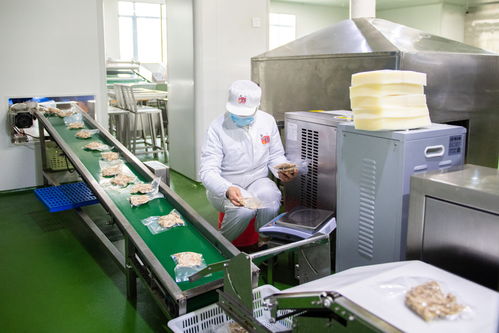 新華全媒+丨湖南寧鄉 食品企業加工忙 紡紗企業趕工急